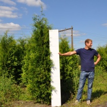 Thuja occidentalis 'Brabant' 200-225 cm 